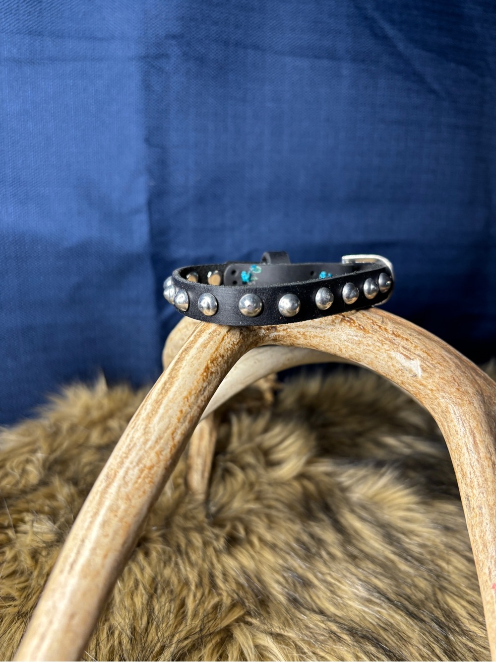 Black Studded Leather Dog Collar - Classic Black